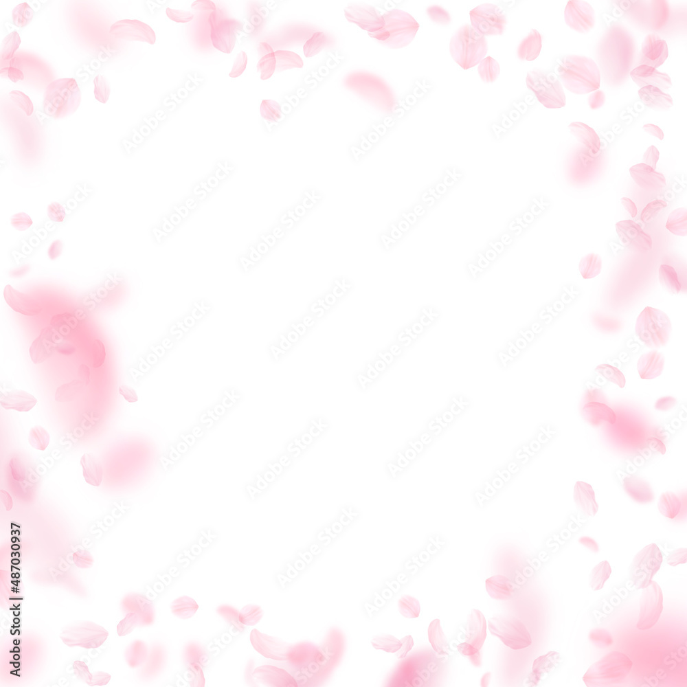Sakura petals falling down. Romantic pink flowers frame. Flying petals on white square background. Love, romance concept. Pleasing wedding invitation.