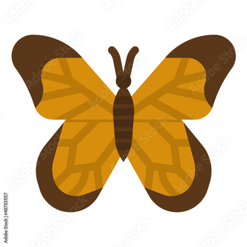 butterfly flat icon