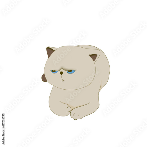Fat cat squats cartoon vector 