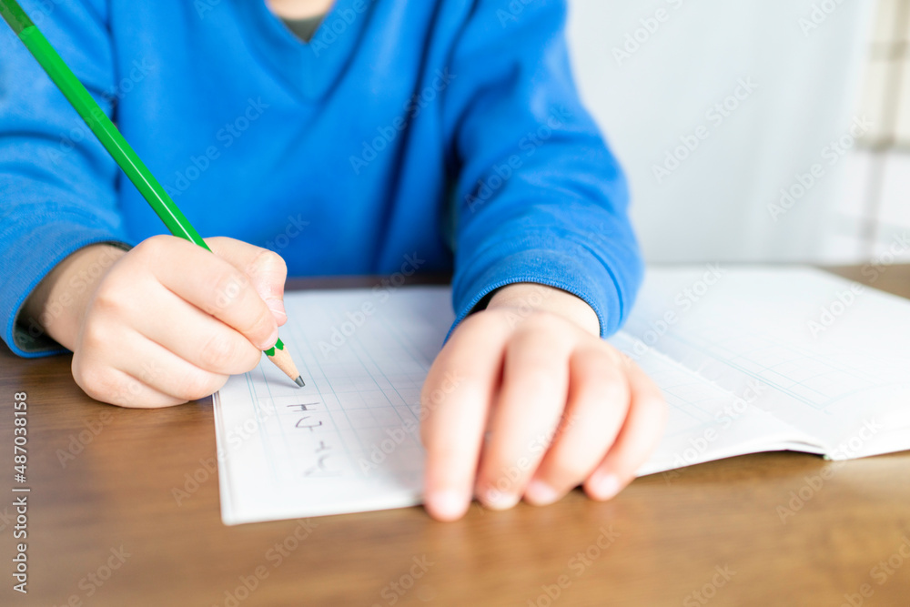 ノートにカタカナを書く新小学１年生 国語の学習 勉強 宿題 Stock Foto Adobe Stock