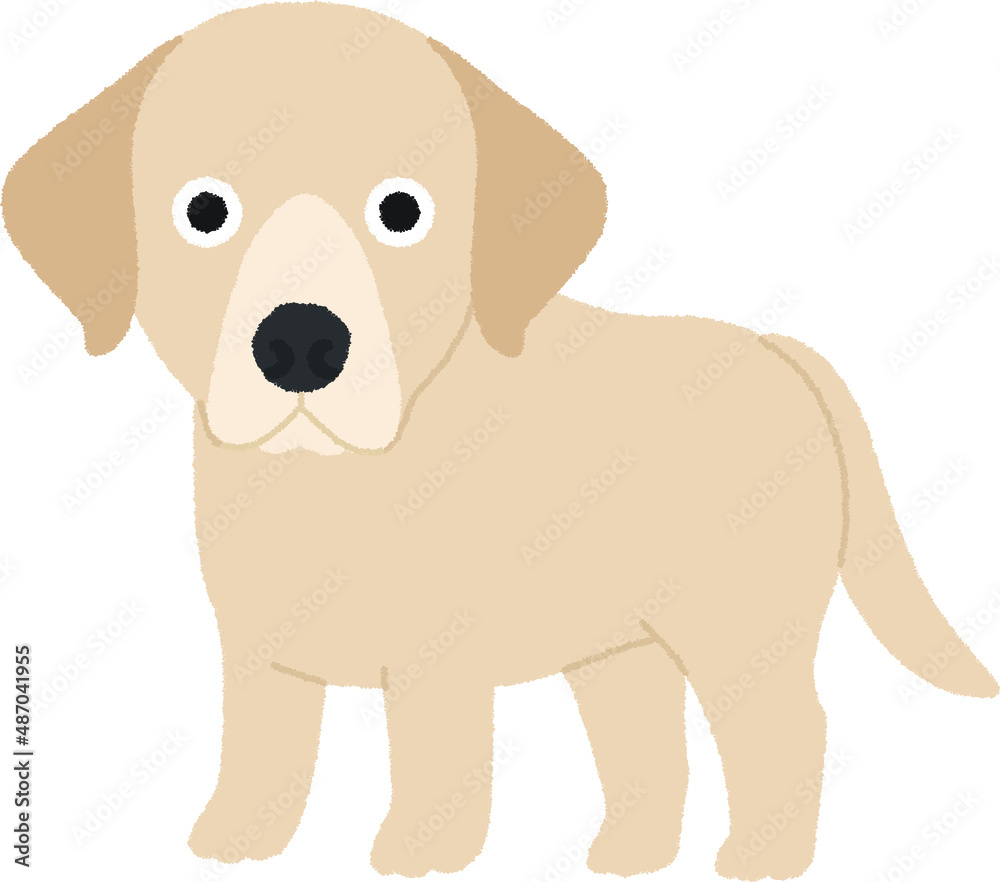 ラブラドール・レトリバーの犬イラスト ラブラドール・レトリバーの犬イラスト