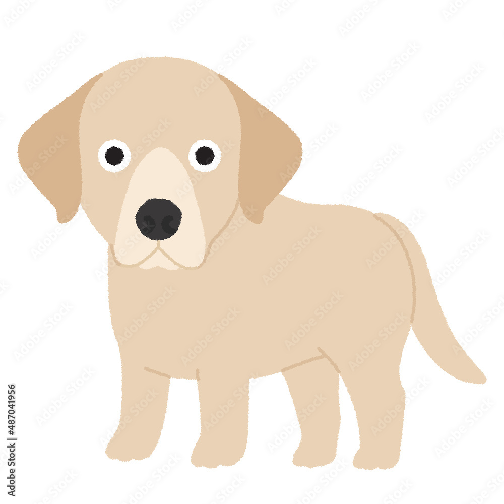 ラブラドール・レトリバーの犬イラスト ラブラドール・レトリバーの犬イラスト