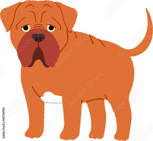 ボルドー・マスティフの犬イラスト