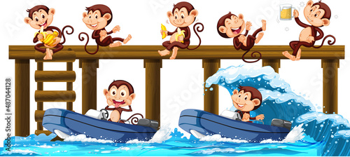Wooden pier with many monkeys doing different activities