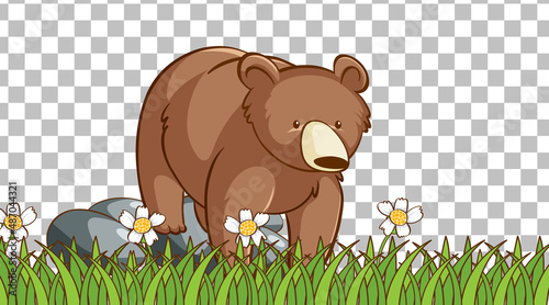 Bear standing on the grass field on transparent background