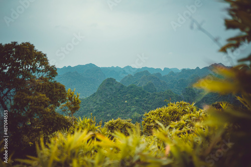 landscape with trees and clouds
