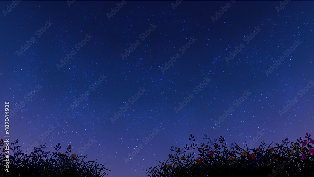 night sky with grass and flowers background image 고화질 밤하늘 배경화면