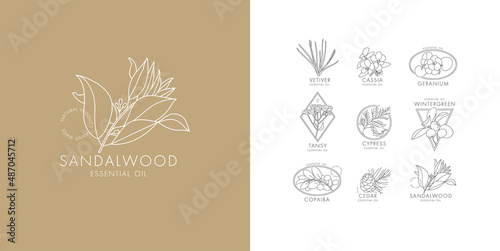 Vector linear set of botanical icons and emblems. Design logos with typography for essential oils. Natural cosmetic products.