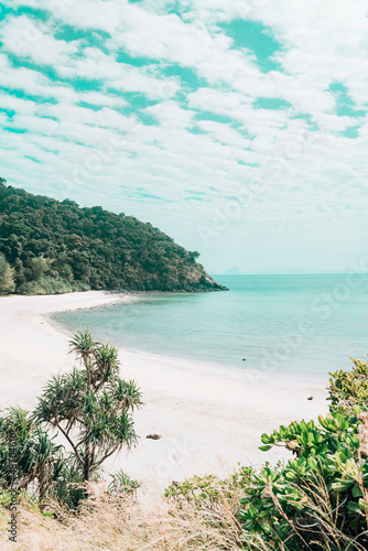 beach with water