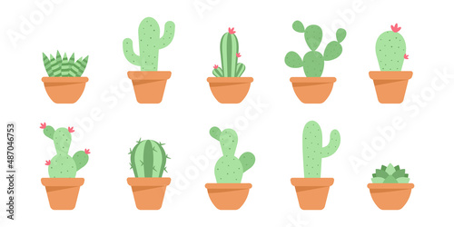 Set of cute cactus and succulents in ceramic pot. Decorative natural elements are isolated on white. Cactus with flowers. Modern Vector illustration in cartoon flat style
