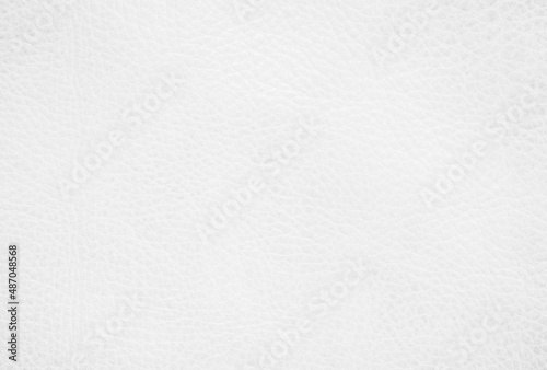 White genuine leather texture background. Empty luxury classic textures for decoration. 
