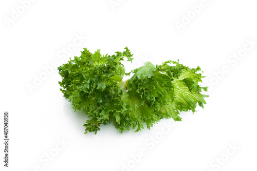 Fresh curly lettuce isolated on white background.