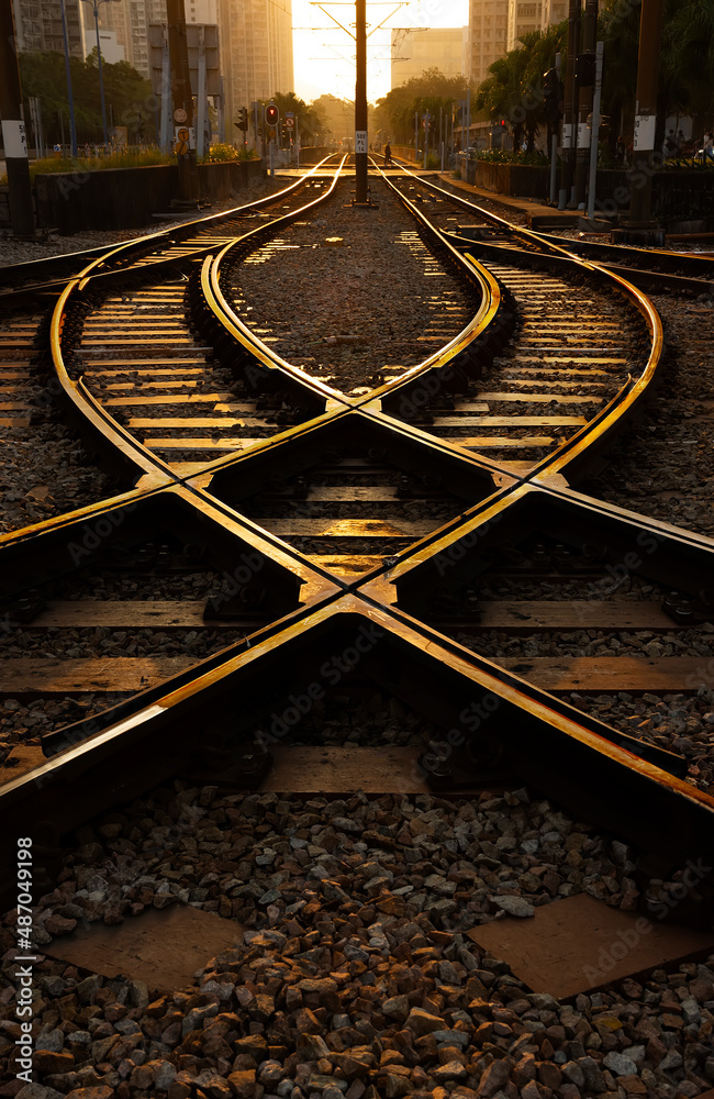 Railway track with switch and interchange