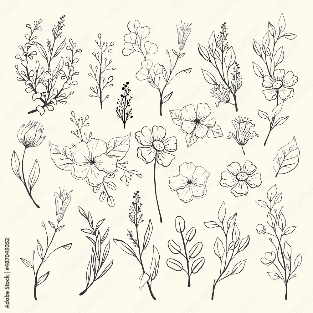 Collection of hand drawn flowers and plants. Monochrome vector illustrations in sketch style.
