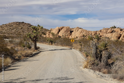 Joshua Tree Park  Californie