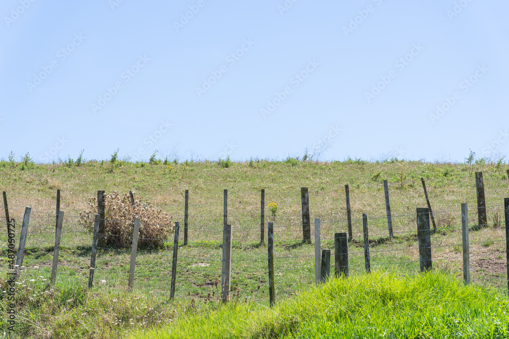 Fences running across field below ridge-line