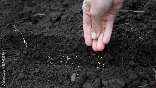 Photo Close up view of a female farmer hands planting seeds in the garden