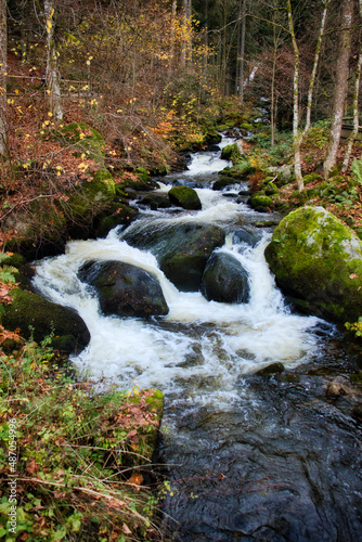 Fototapeta Naklejka Na Ścianę i Meble -  Water flowing over rocks in a stream in the Black Forest near Triberg falls on a fall day in Germany.