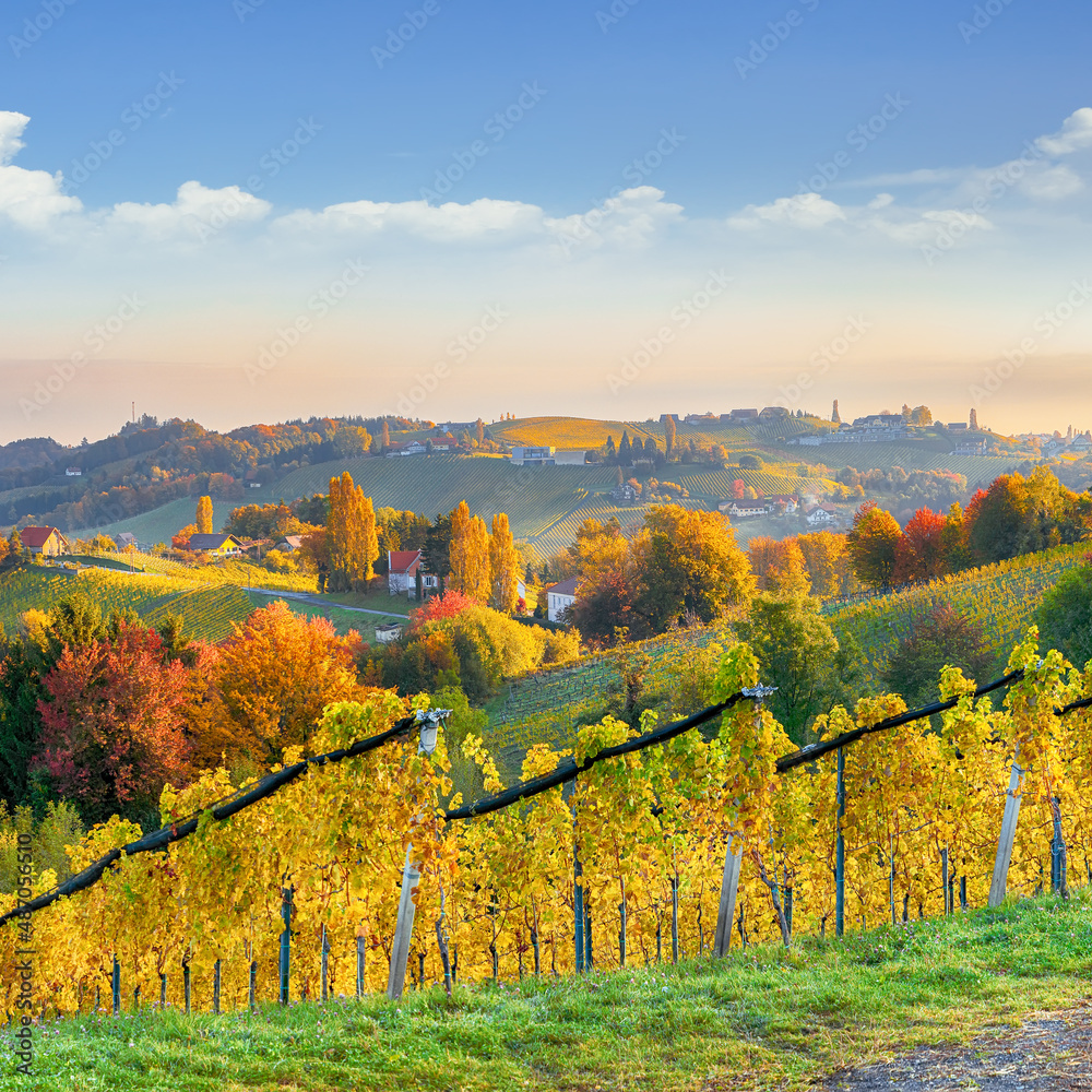 Naklejka premium Stunning vineyards landscape in South Styria near Gamlitz.