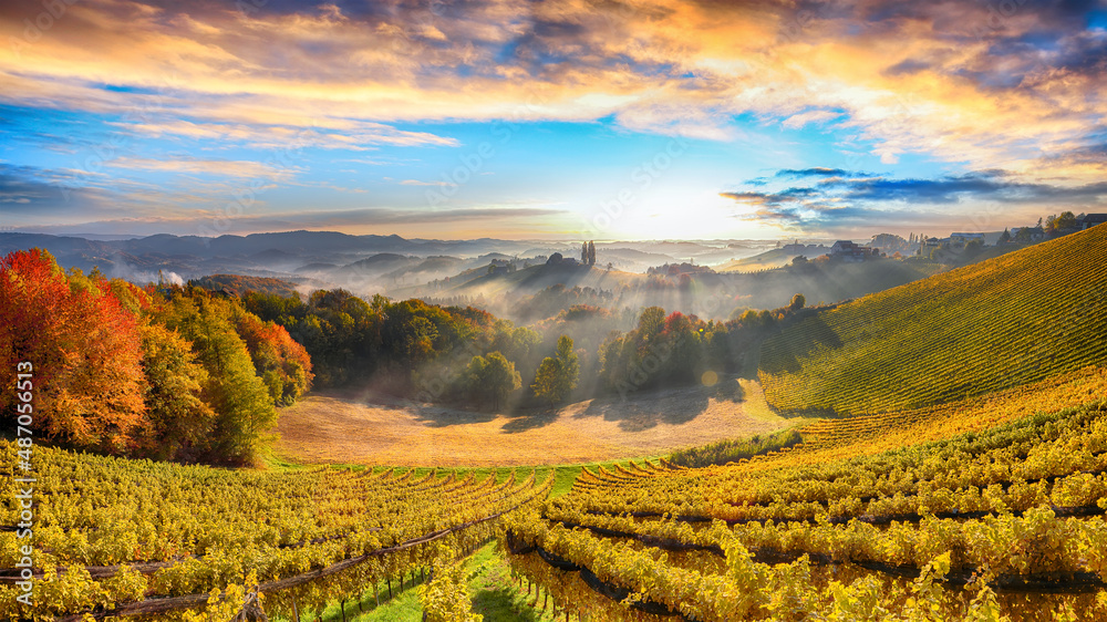 Fabulous vineyards landscape in South Styria near Gamlitz.