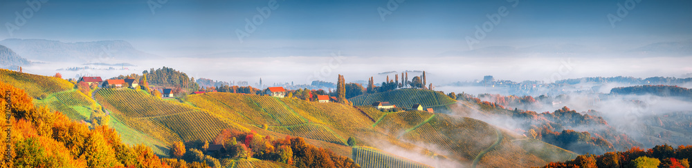 Naklejka premium Astonishing vineyards landscape in South Styria near Gamlitz.