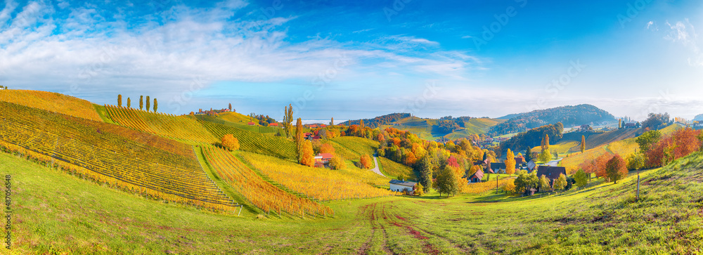 Splendid vineyards landscape in South Styria near Gamlitz.