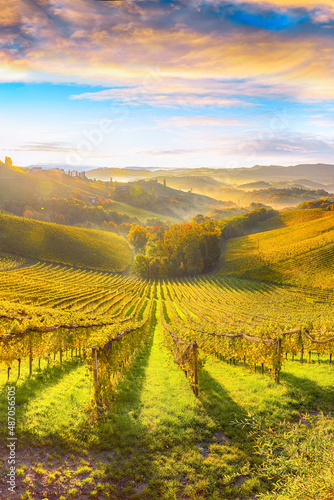 Obraz na płótnie Splendid vineyards landscape in South Styria near Gamlitz.