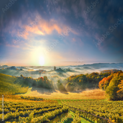 Astonishing vineyards landscape in South Styria near Gamlitz.
