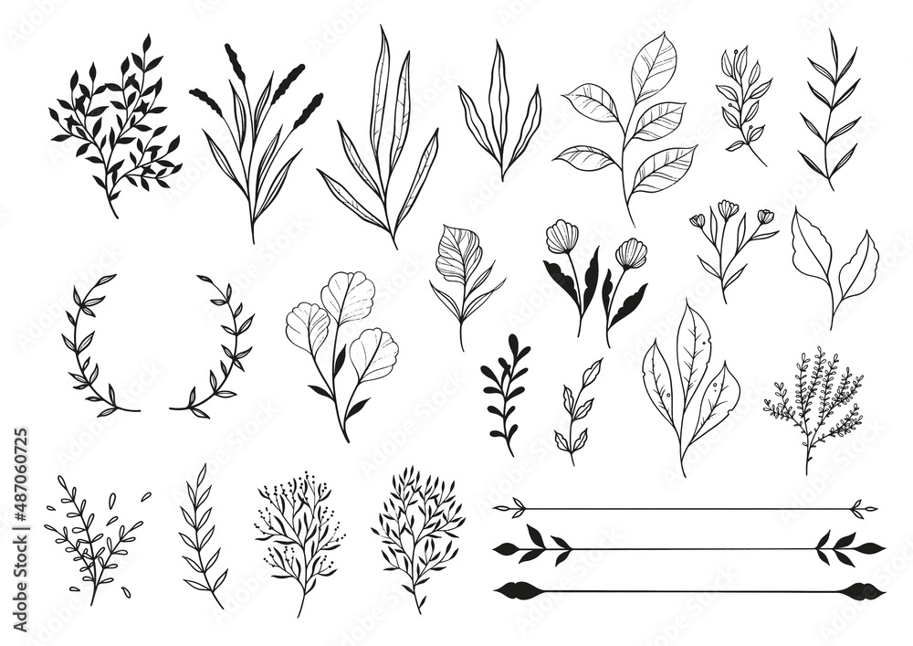Set Of Line Drawing Plants, Leaves & Flowers Plus Dividers Set Of Line Drawing Plants, Leaves & Flowers Plus Dividers