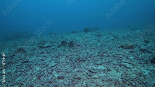 Dead coral reef consisting only of coral rubble in the South Pacific 