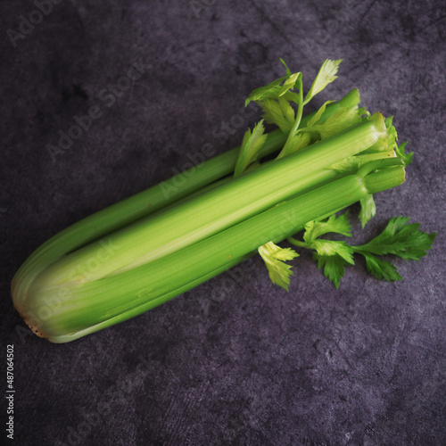 Celery on a dark background  healthy food