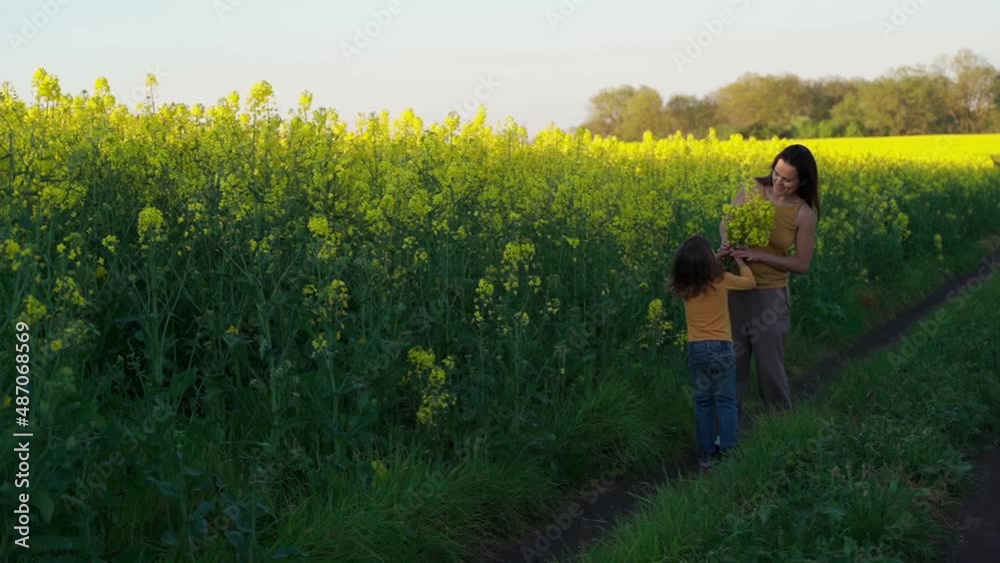 happy family outdoor. The child gives a yellow bouquet of flowers to his mother. A happy family in a field of canola blooming in the spring happy family outdoor. The child gives a yellow bouquet of flowers to his mother. A happy family in a field of canola blooming in the spring