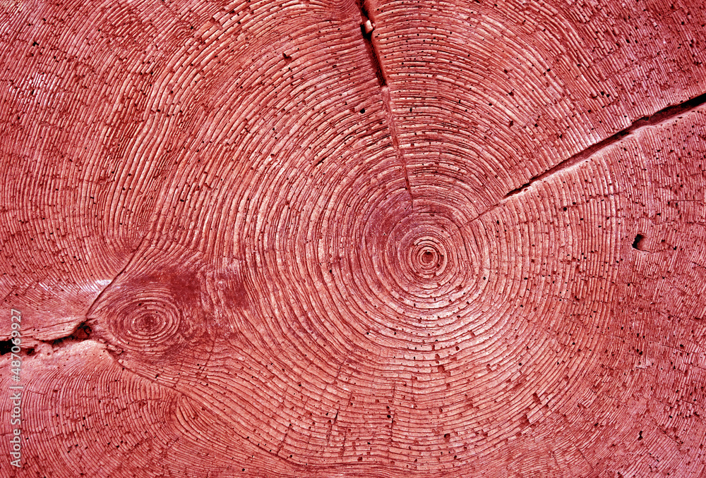 Fototapeta premium Tree annual rings texture in red tone