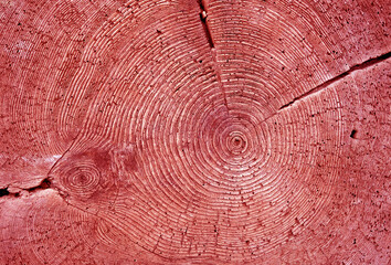Keuken achterwand Rood Jaarringen textuur in rode tint  © pavelalexeev
