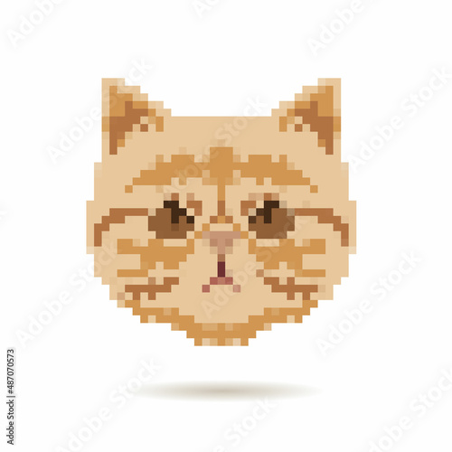Cat portrait abstract isolated on a white backgrounds, vector illustration © romanya
