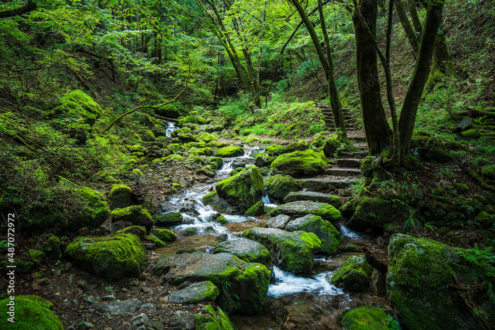 御岳山　御岳渓谷　ロックガーデン【東京都・青梅市】　The rock garden of Mt. Mitake is a famous natural tourist destination in Tokyo.