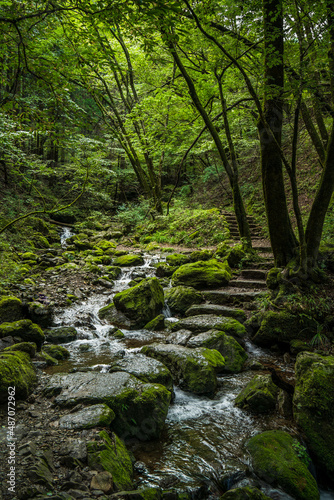 御岳山　御岳渓谷　ロックガーデン【東京都・青梅市】