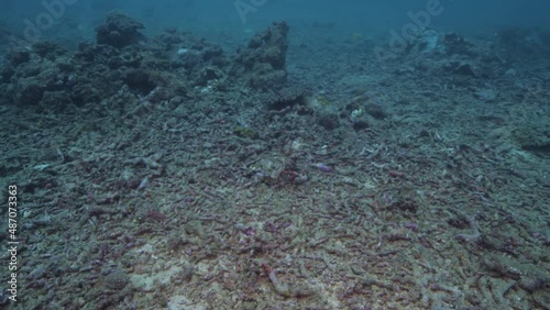 Coral rubble covers an area of a once-thriving tropical coral reef in the Pacific Ocean 