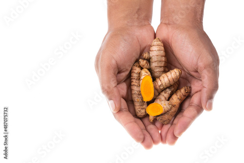 Curcuma Longa - Male Hands Holding Fresh Turmeric Roots photo