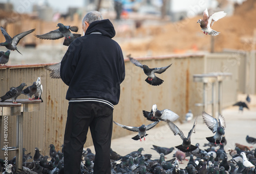 Tableau sur toile Flock of many pigeons in the air and on the ground coming to get food from an old man