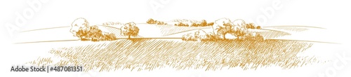 Canvas Vector sketch Green grass field on small hills