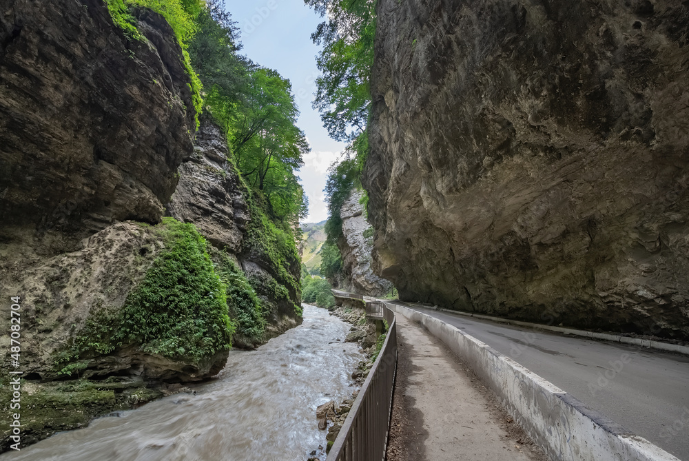 The river laid its course among the Caucasus Mountains and broke through deep canyons. A mountain river carries its waters, creating a danger for careless actions.