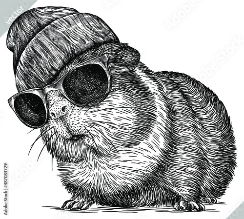 black and white engrave isolated guinea pig vector illustration
