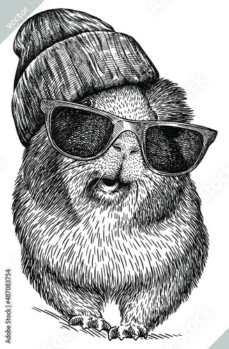 black and white engrave isolated guinea pig vector illustration