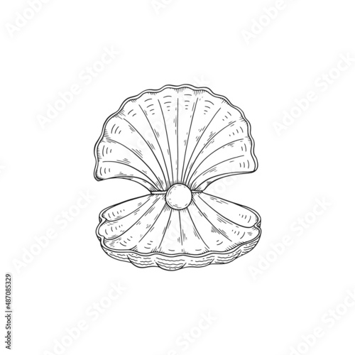 Opened sea shell with pearl inside in monochrome sketch style, vector illustration isolated on white background.