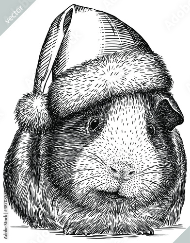 black and white engrave isolated guinea pig vector christmas illustration