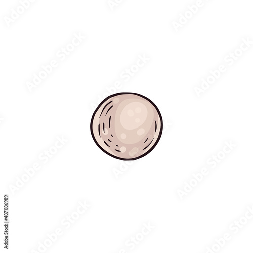 Seashell pearl in colored sketch style, vector illustration isolated on white background.