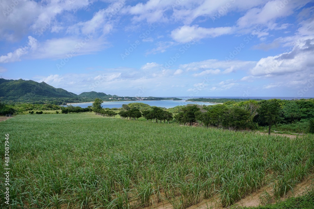 川平湾の風景