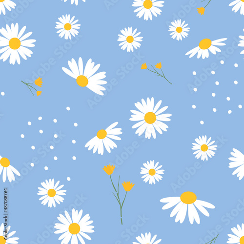 Seamless pattern with chamomiles daisy on blue background vector.