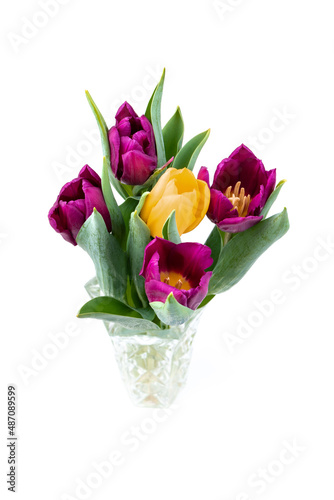 Wallpaper Mural Bunch of fresh purple, yellow tulip flowers close up isolated on white background. Spring holidays concept background. Torontodigital.ca